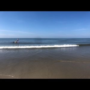 Meet your Posher, Peyton